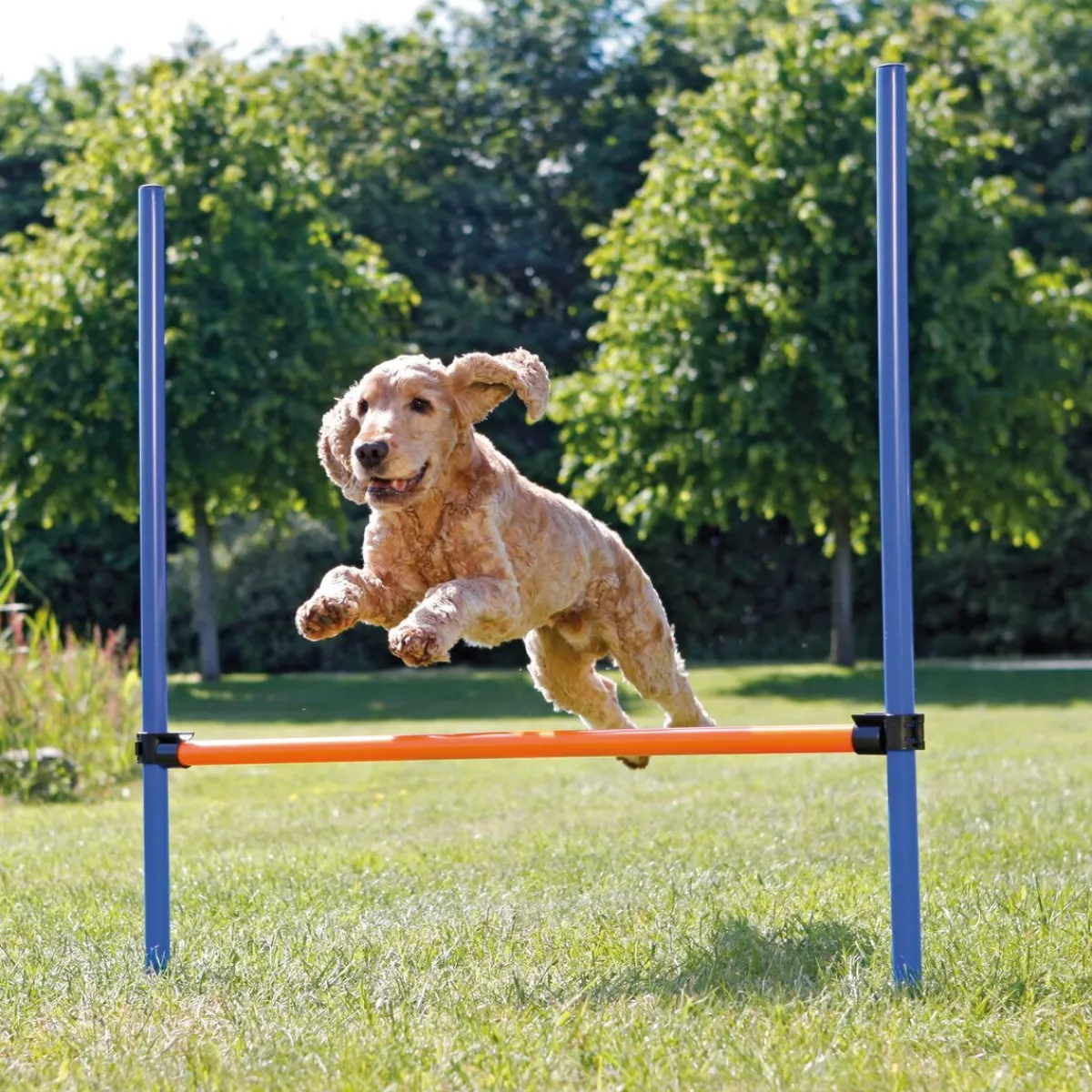 Trixie Agility|Agility*Agility aitaeste 123 x 115 cm