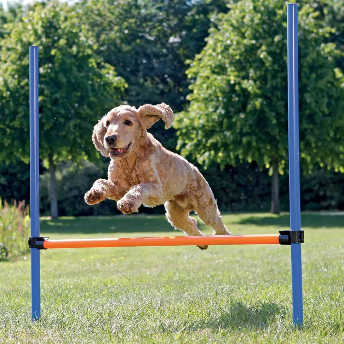 Trixie Agility|Agility*Agility aitaeste 123 x 115 cm
