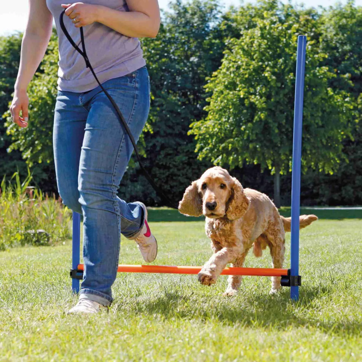 Trixie Agility|Agility*Agility aitaeste 123 x 115 cm