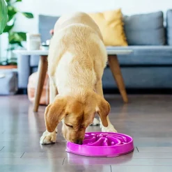 Outward Hound Ahmimisenestokupit Ja Nuolumatot|Koiran Ruoka- Ja Juomakupit*Ahmimisenestokuppi koiralle Flower L