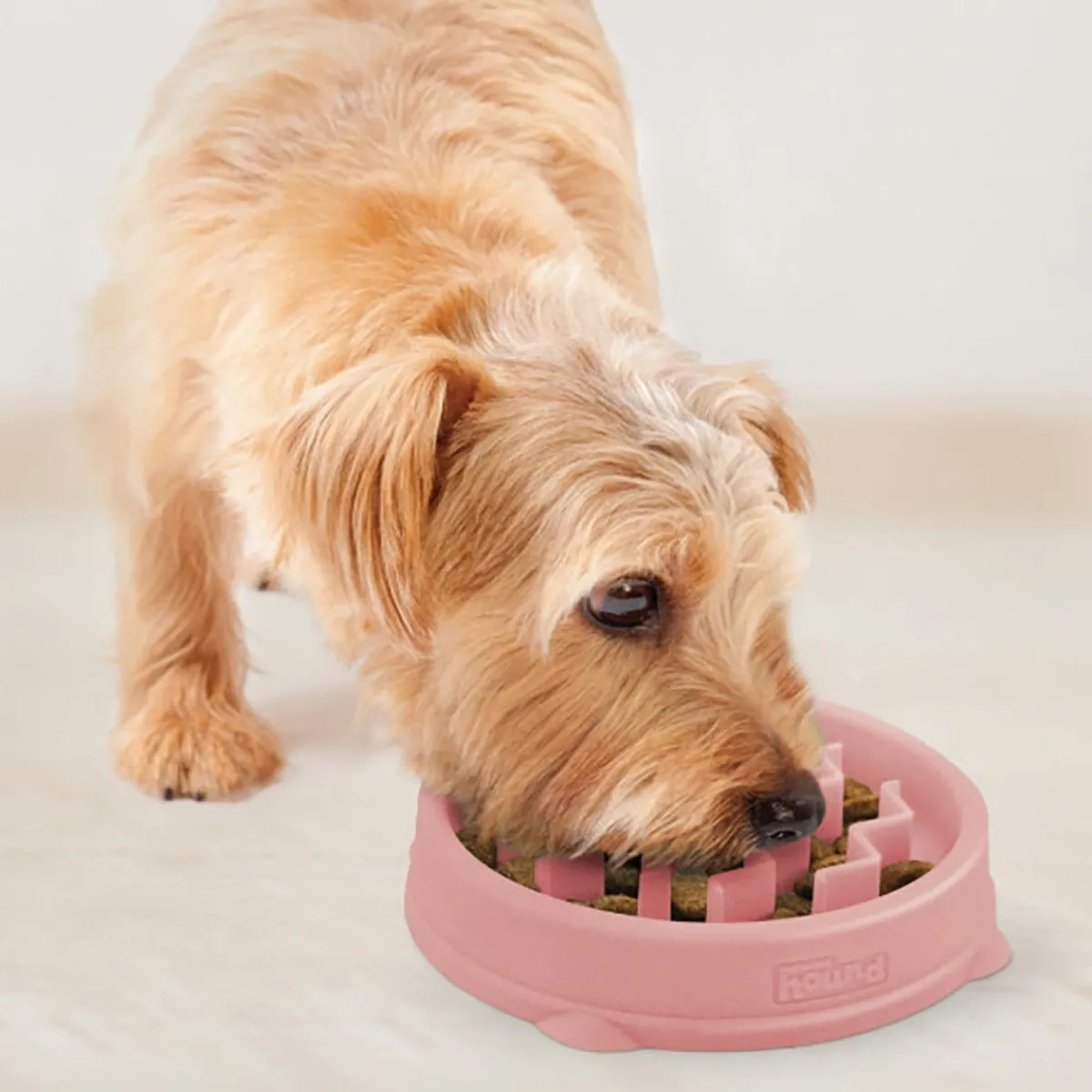 Outward Hound Ahmimisenestokupit Ja Nuolumatot|Koiranpennun Ruokailu*Ahmimisenestokuppi Wave pinkki, S