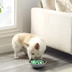 Outward Hound Ahmimisenestokupit Ja Nuolumatot|Koiranpennun Ruokailu*Ahmimisenestokuppi Wobble bowl