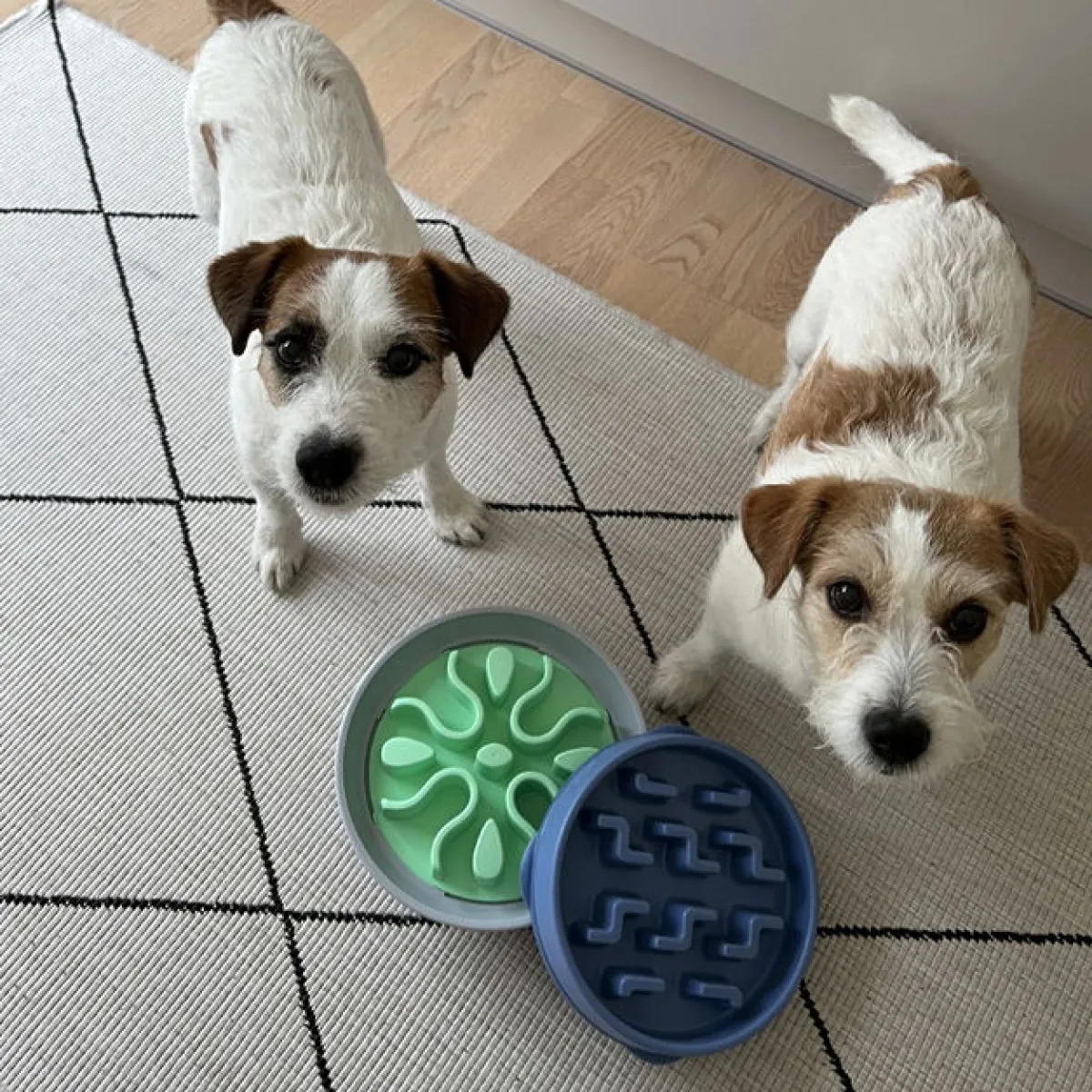 Outward Hound Ahmimisenestokupit Ja Nuolumatot|Koiranpennun Ruokailu*Ahmimisenestokuppi Wobble bowl