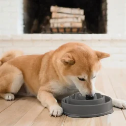 Outward Hound Ahmimisenestokupit Ja Nuolumatot|Koiranpennun Ruokailu*Ahmimisenestokuppi Drop M