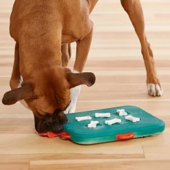 Nina Ottosson Koiran Aktivointilelut Ja -Pelit*Aktivointilelu Dog Casino, turkoosi