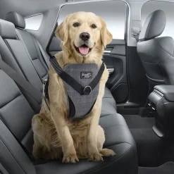 All For Paws Häkit|Turvavyöt, -Valjaat Ja Autoistuimet*koiran autovaljaat