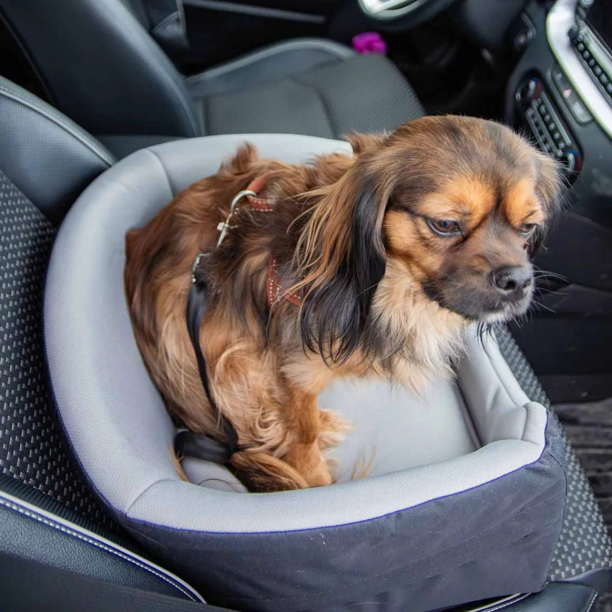 Trixie Häkit|Koiran Autoistuimet*Autoistuin koiralle