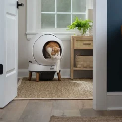 Petsafe Kissanvessat|Automaattiset Kissanvessat*Automaattinen kissanvessa SmartSpin