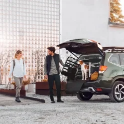 Thule Häkit|Autorampit, Koiraveräjät Ja Autonsuojat*Auton puskurinsuoja