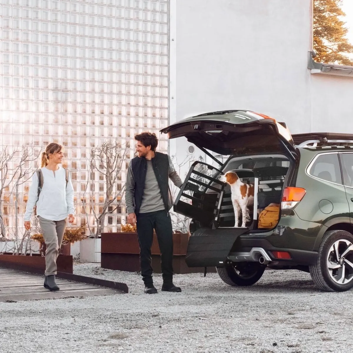 Thule Häkit|Autorampit, Koiraveräjät Ja Autonsuojat*Auton puskurinsuoja