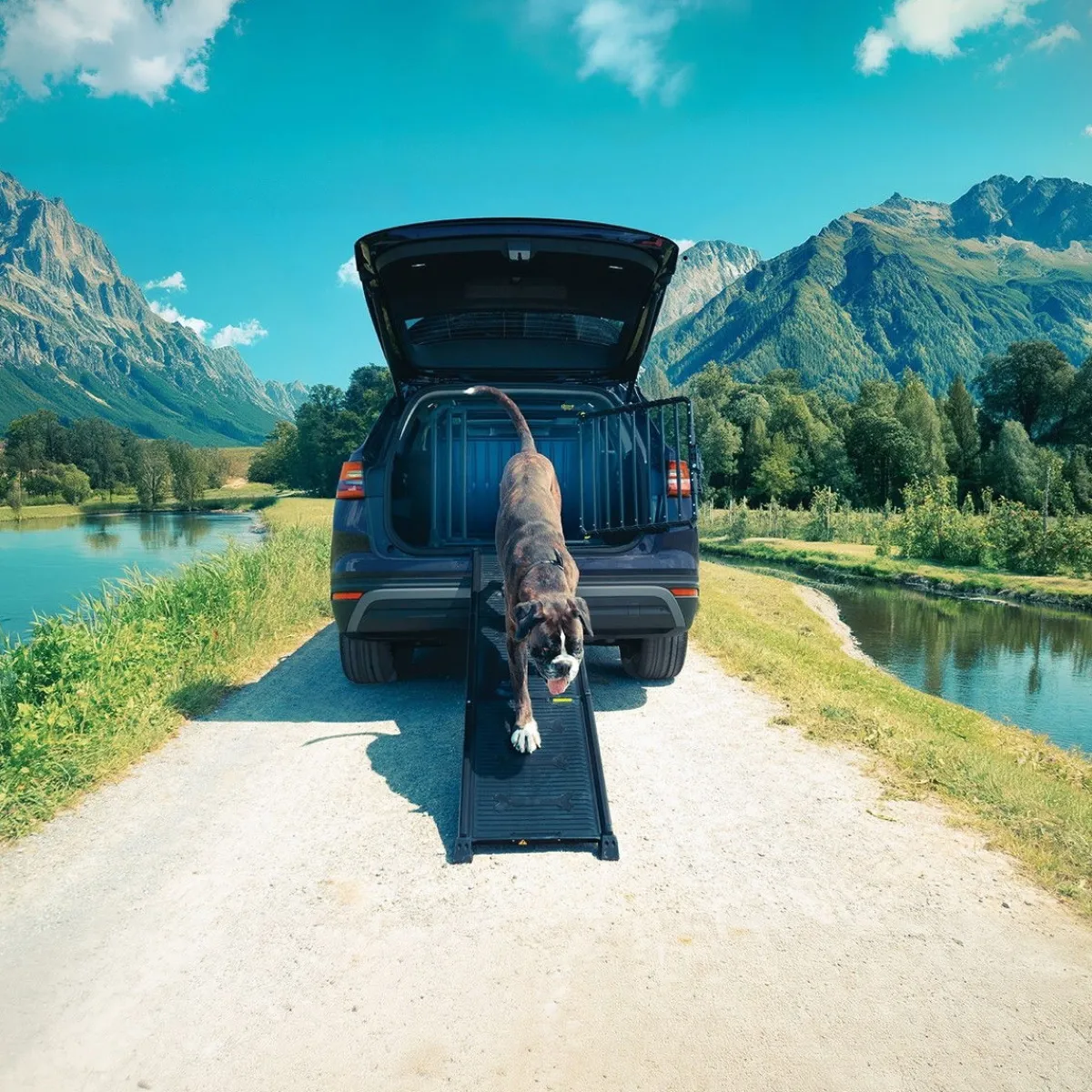 4Pets Häkit|Autorampit, Koiraveräjät Ja Autonsuojat*Autoramppi koiralle EasySteps