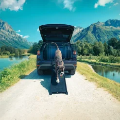 4Pets Häkit|Autorampit, Koiraveräjät Ja Autonsuojat*Autoramppi koiralle EasySteps