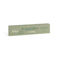 Avital Öljyt, Vitamiinit Ja Lisäravinteet|Hoito Ja Terveys*Gastro+