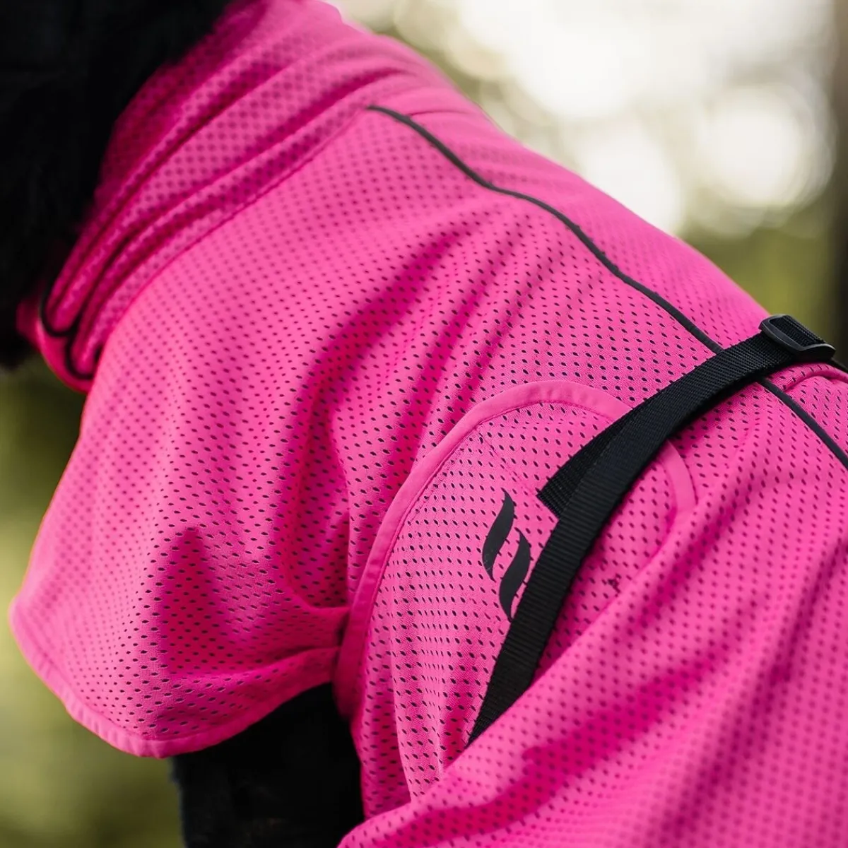 Back on Track Koiran Vaatteet|Koiran Takit*verkkoloimi Limited Edition, Hot Pink