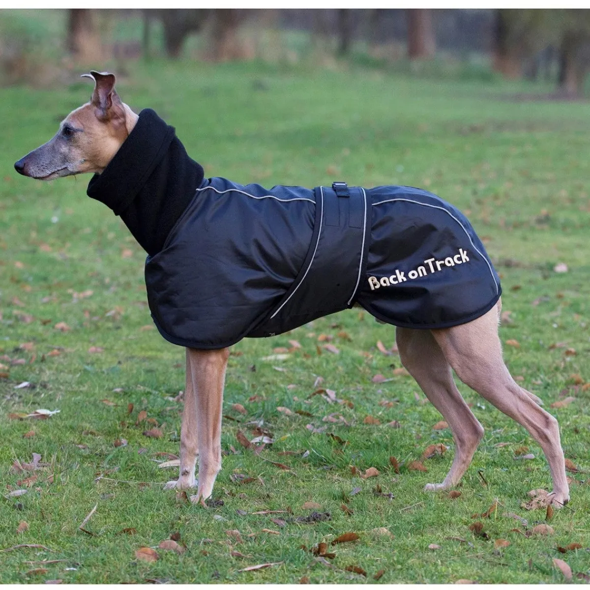 Back on Track Koiran Vaatteet|Koiran Sadetakki*Whippet-takki
