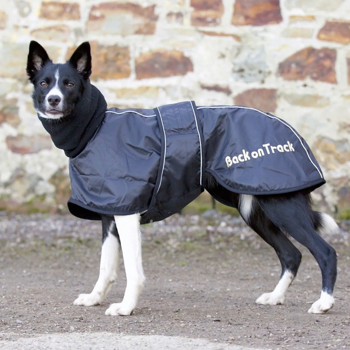 Back on Track Koiran Vaatteet|Koiran Sadetakki*Whippet-takki