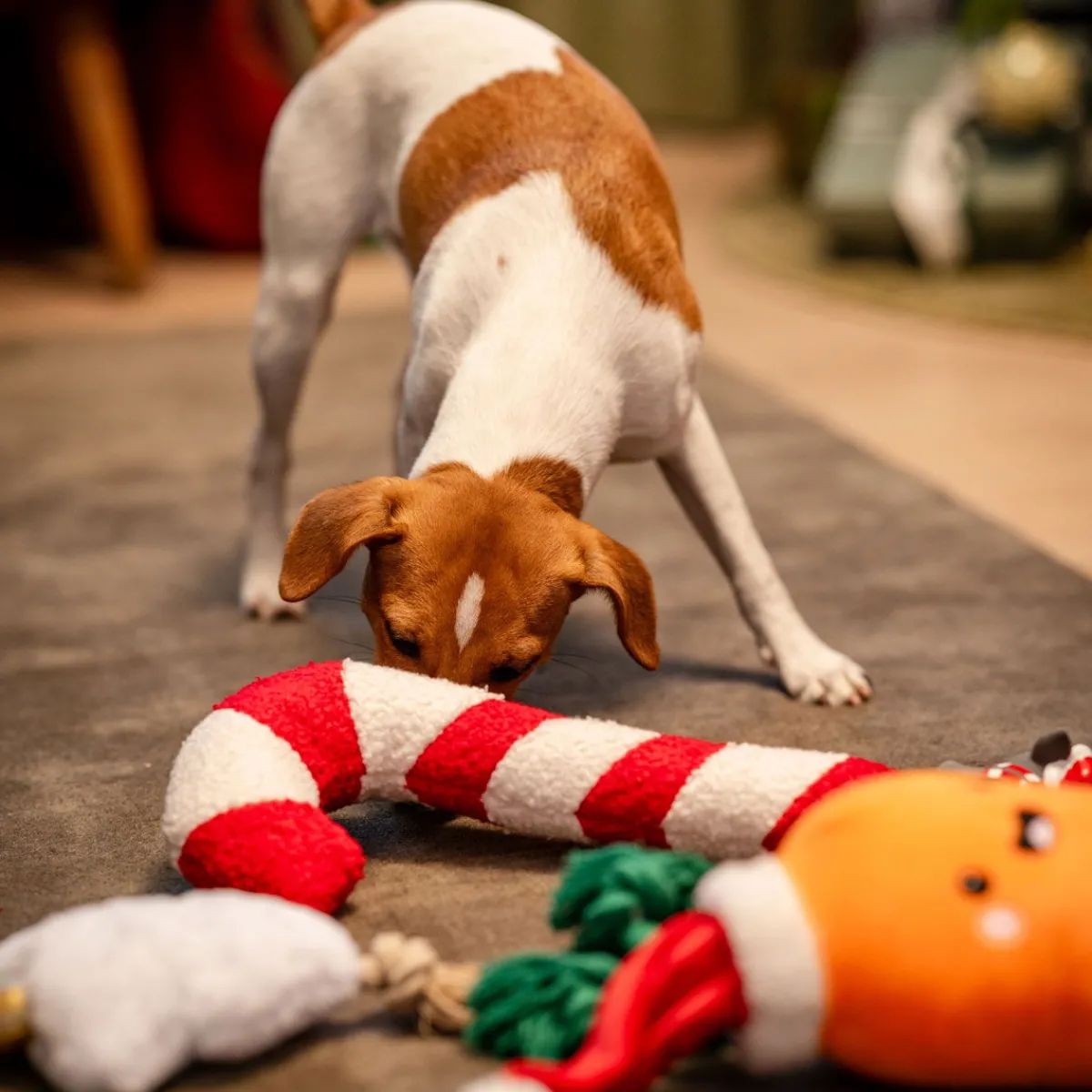 Bark A Boo Koiran Pehmolelut*Bark-a-Boo Tufflove Holiday karkkikeppi M