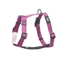 Basic Koiranpennun Ulkoilu|Koiran Valjaat*Fresh Y-valjaat, fuksia