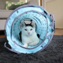 Battersea Kissan Pelit Ja Aktivointilelut*Pop Up kissan teltta ja tunneli