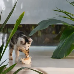 Beeztees Kissan Hiirilelut*Eco Cat Bird Chicho