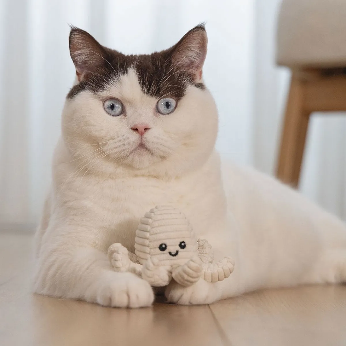 Beeztees Kissan Hiirilelut*Eco Cat Octopus Nome