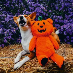Beeztees Koiran Pehmolelut*Halloween Pumpkin Bear