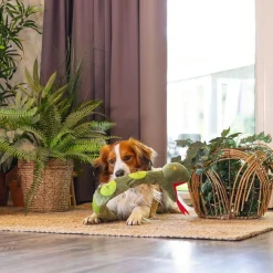 Beeztees Koiran Pehmolelut|Koiran Aktivointilelut Ja -Pelit*Hide N Seek Jungle Snake