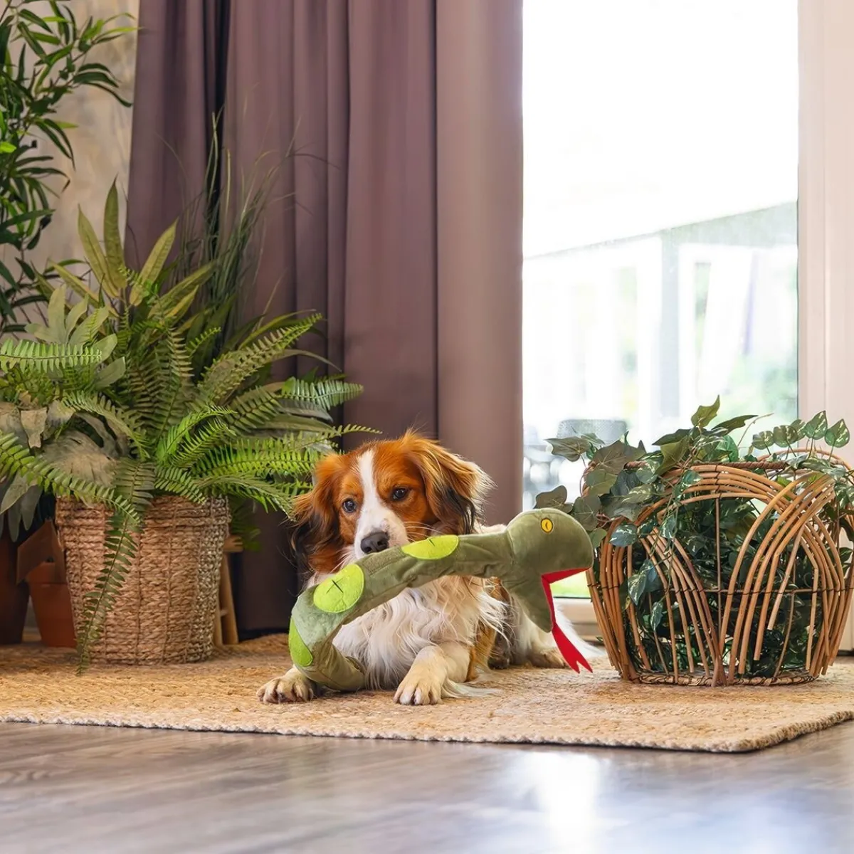 Beeztees Koiran Pehmolelut|Koiran Aktivointilelut Ja -Pelit*Hide N Seek Jungle Snake