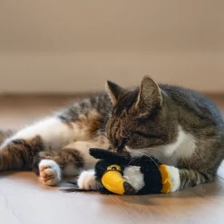 Beeztees Kissanminttulelut*Jungle Cat Toucan Kanoe