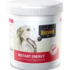 Belcando Koiran Nesteytys- Ja Palautusjuomat|Öljyt, Vitamiinit Ja Lisäravinteet*Instant Energy