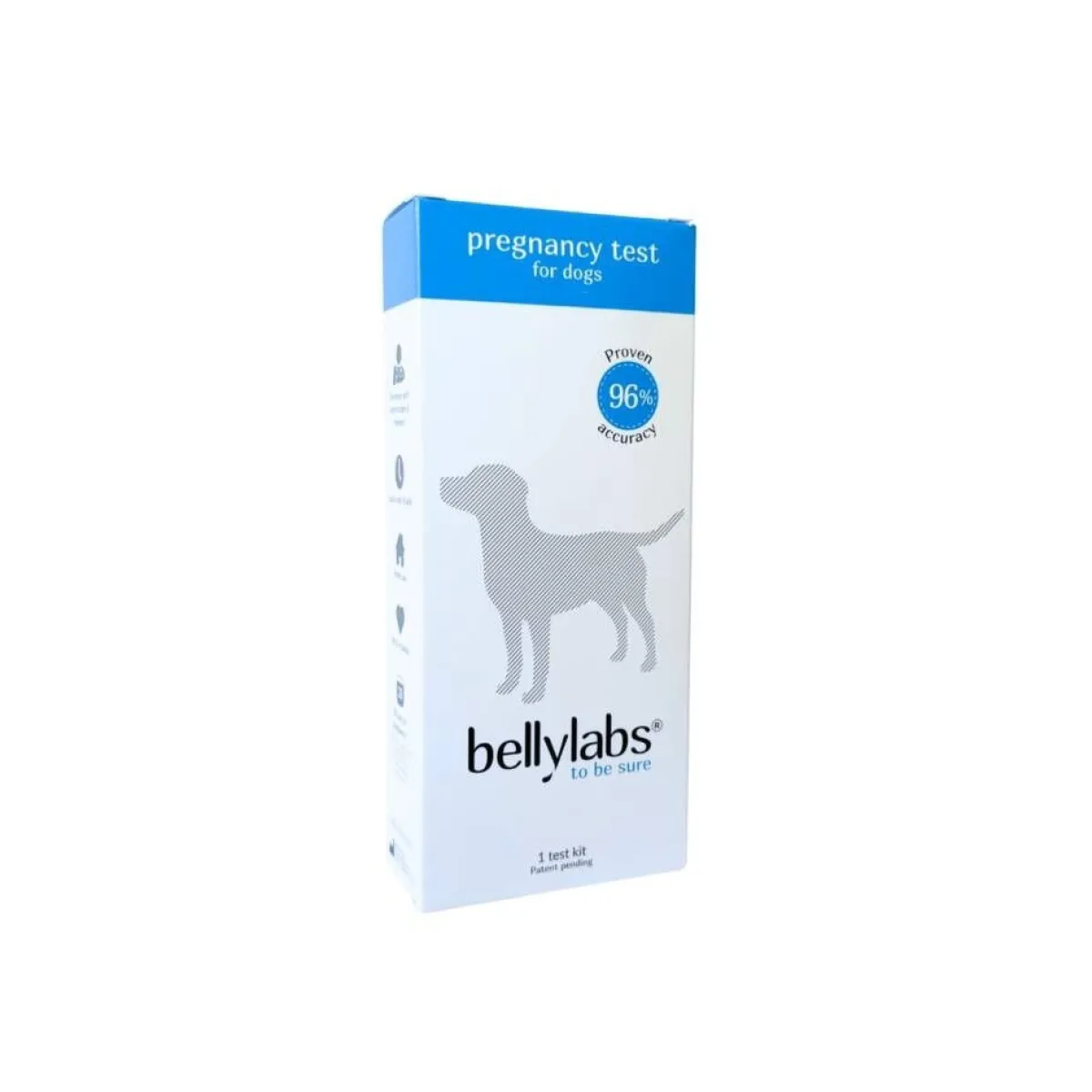 Bellylabs Hoito Ja Terveys*koirien tiineystesti