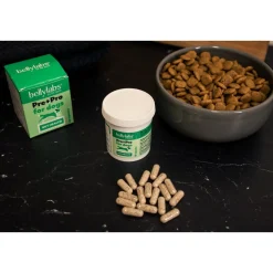 Bellylabs Öljyt, Vitamiinit Ja Lisäravinteet|Hoito Ja Terveys*Pre+Pro 60 kapselia