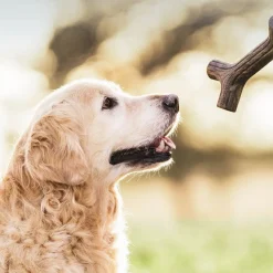 Benebone Puruluut*Bacon Stick