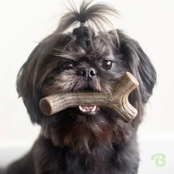Benebone Puruluut*Bacon Stick