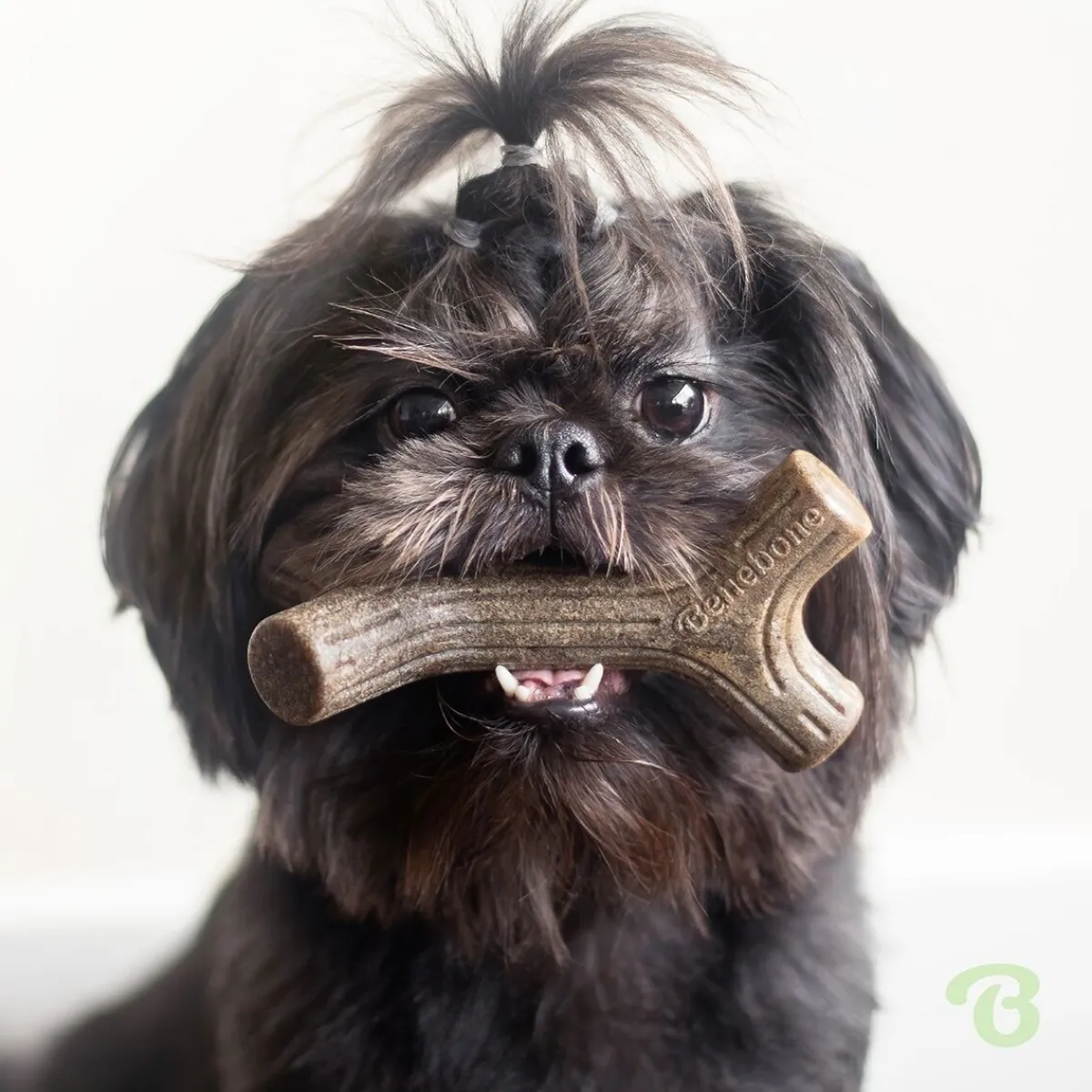 Benebone Puruluut*Bacon Stick