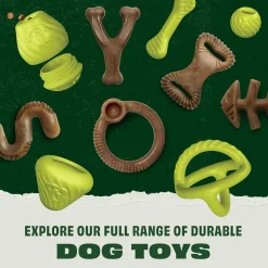 Benebone Koiran Pallot*Bounce Ball