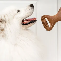 Benebone Puruluut|Hammasherkut*Dental Chew Bacon
