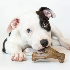 Benebone Puruluut|Hammasherkut*Puppy 2 kpl - Dental Chew/Wishbone Bacon Tiny