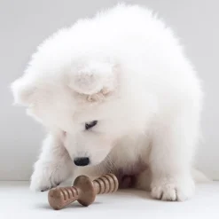 Benebone Puruluut|Hammasherkut*Puppy 2 kpl - Maplestick/Zaggler Bacon Tiny