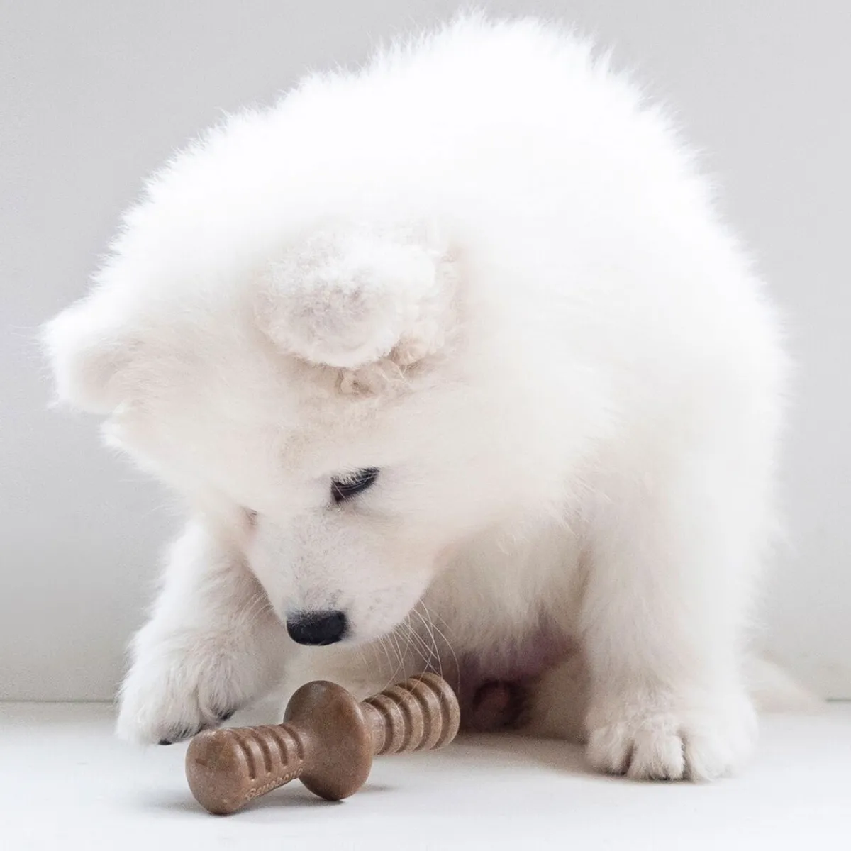 Benebone Puruluut|Hammasherkut*Puppy 2 kpl - Maplestick/Zaggler Bacon Tiny