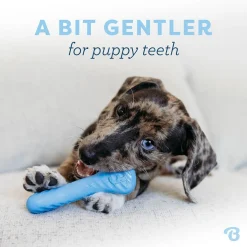 Benebone Purulelut Ja Kongit*Puppy Rubber Bones Bacon Tiny 2 kpl