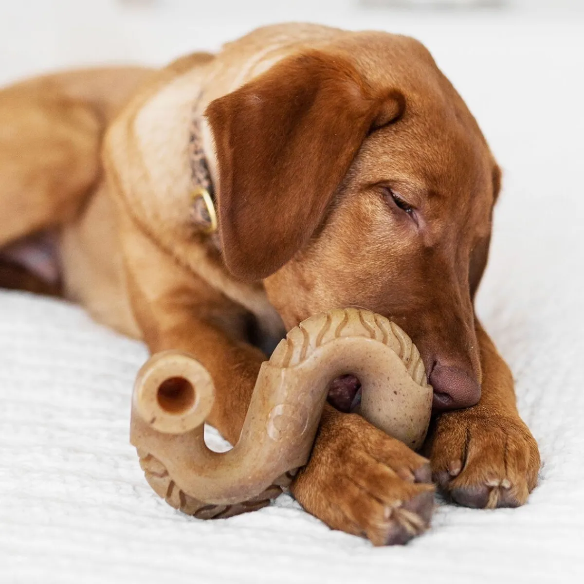 Benebone Puruluut*Tripe Bone