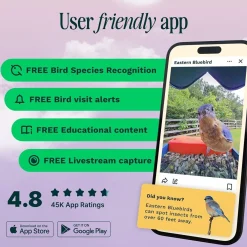 Birdbuddy Ulkolinnut|Koirakamerat*Bird Buddy -lintulauta kameralla
