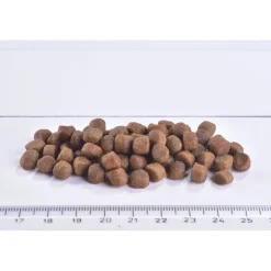 Brit Care Kissanpennun Ruoka|Kissanpennun Ruoka*Cat Grain-Free Kitten Gentle Digestion & Strong Immunity