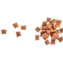 Brit Care Seniorikissan Ruoka|Viljaton Kissanruoka*Cat Grain-Free Senior Weight Control