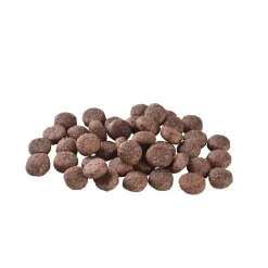 Brit Care Tarjoukset Koirille|Koiran Kuivaruoka*Dog Adult Grain Free Salmon