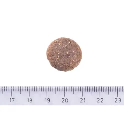 Brit Care Tarjoukset Koirille|Koiran Kuivaruoka*Dog Adult Large Breed Grain-Free Salmon