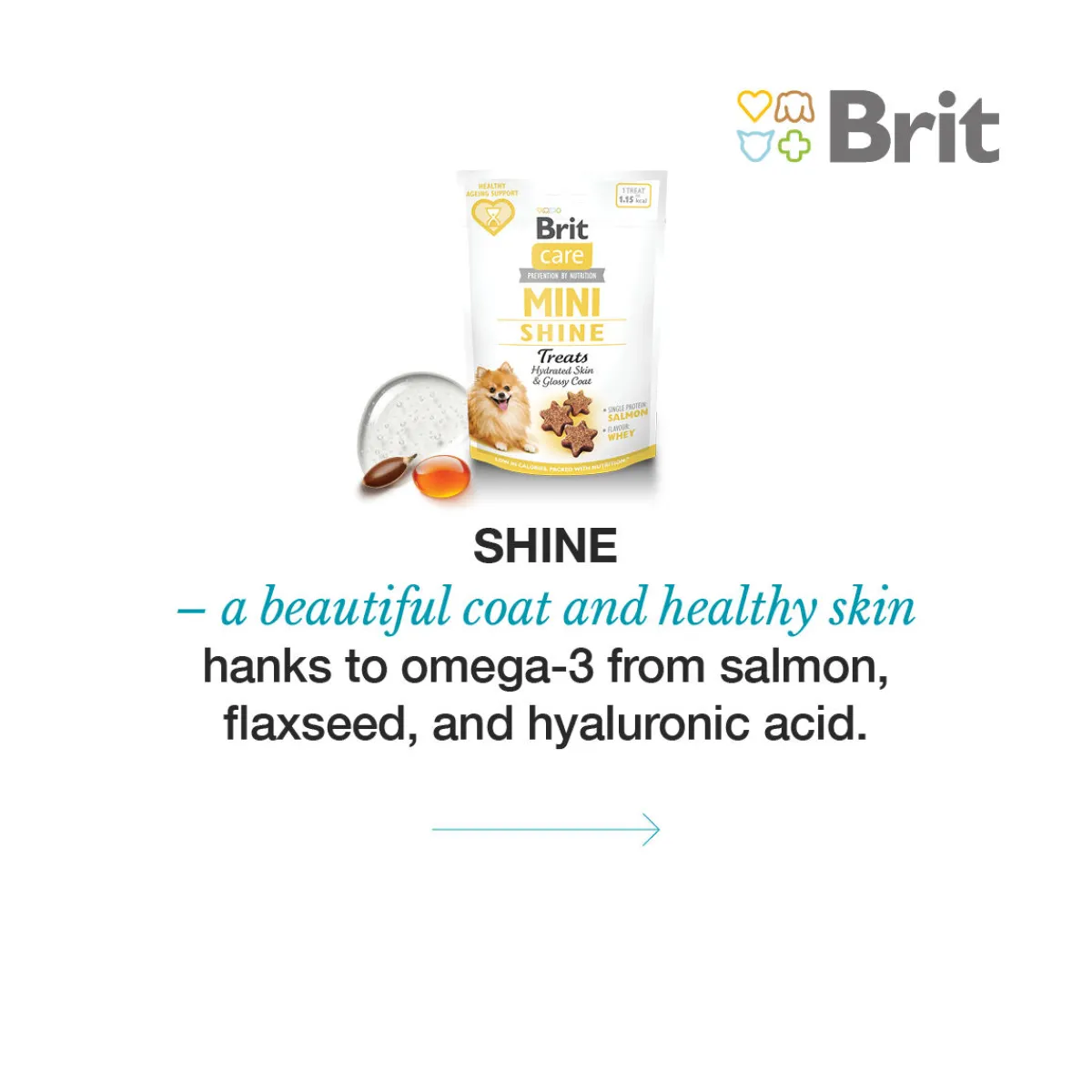 Brit Care Pikkuherkut Ja Treeninamit|Tarjoukset Koirille*Dog Miniherkut SHINE 50 g