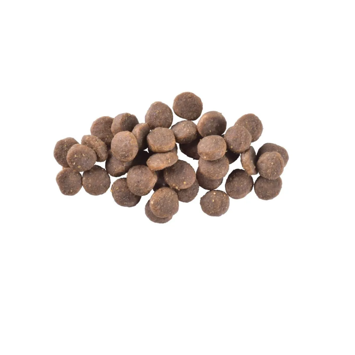 Brit Care Tarjoukset Koirille|Viljaton Koiranruoka*Dog Puppy Grain Free Salmon