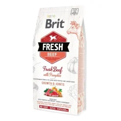 Brit Penturuoka|Koiran Kuivaruoka*Fresh Beef&Pumpkin PuppyLarge
